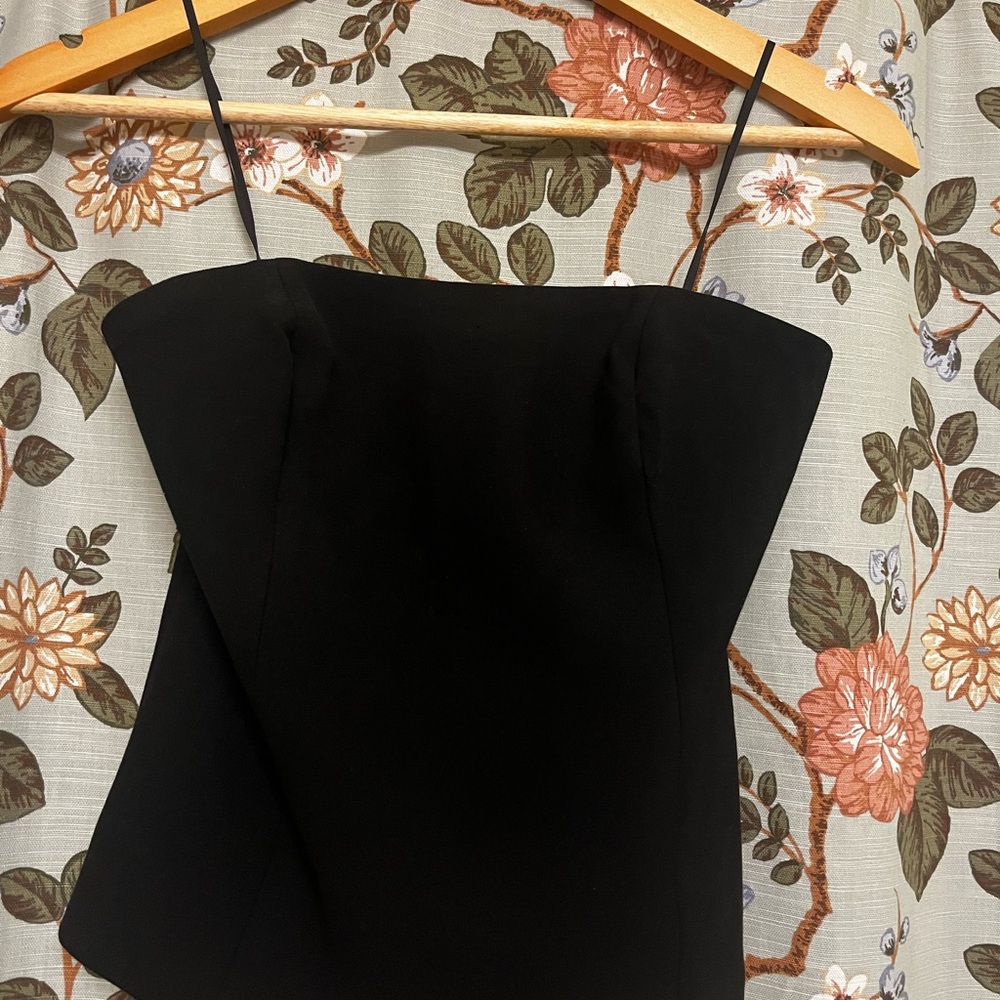 Aritzia Headline Tube Top NWT